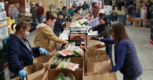 volunteers sorting and packing food during the pandemic