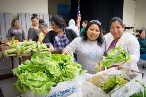 women sorting lettuce