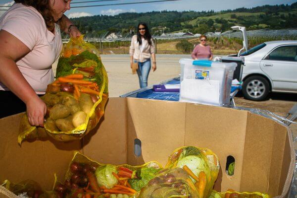 Alimentos para la distribución