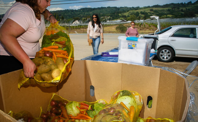 Alimentos para la distribución