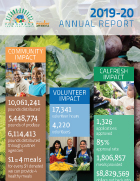 Informe anual 2019-20