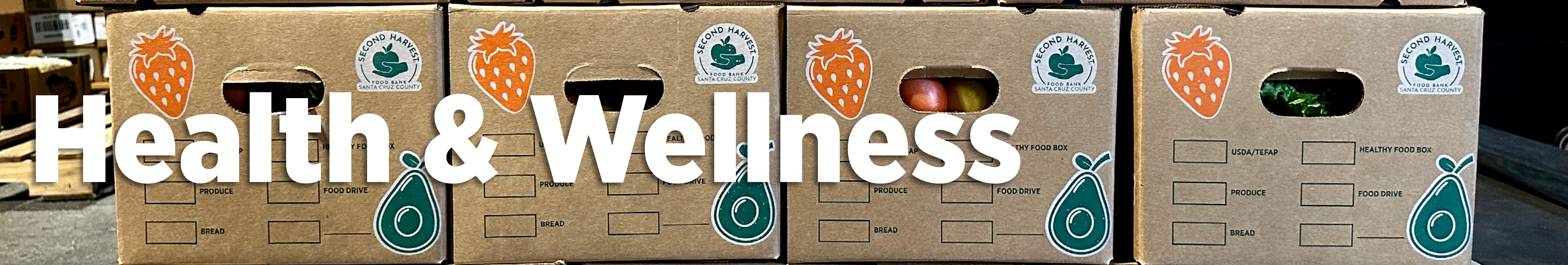 health & wellness header E