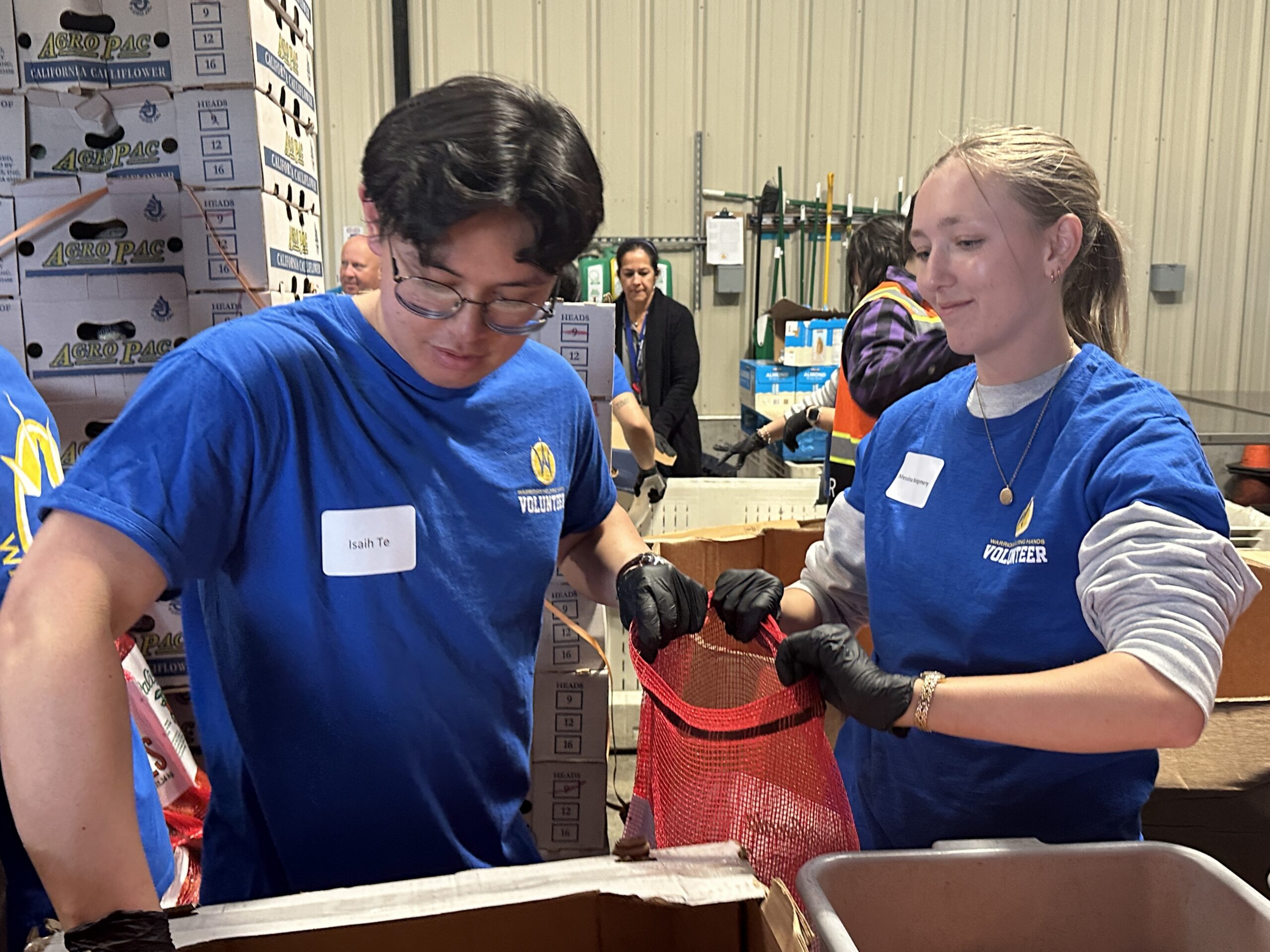 calfresh - volunteer