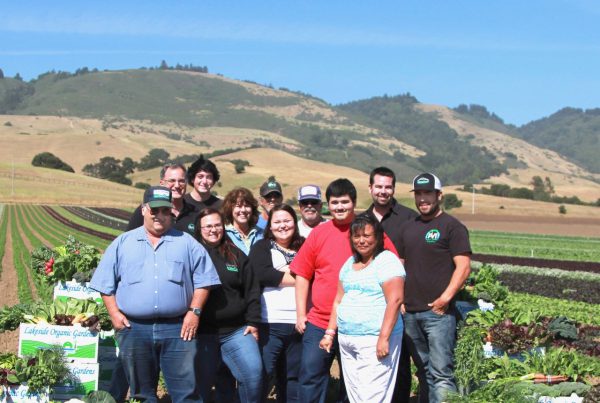 Lakeside Organic Gardens